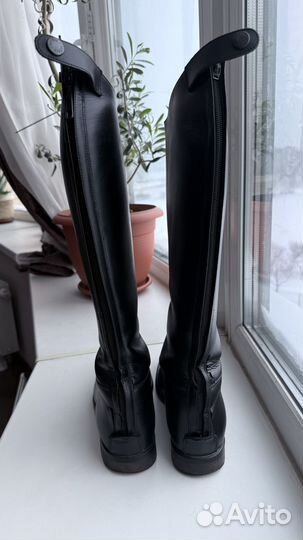 Сапоги для верховой езды Petrie