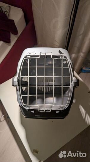 Переноска для котят