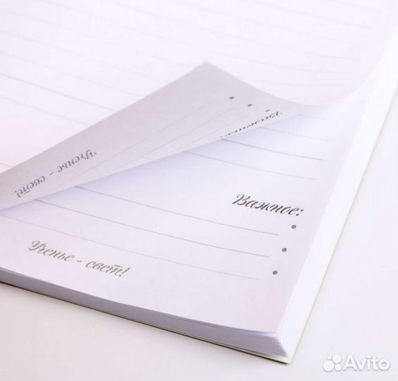 Ежедневник для учителя, А5, в линейку