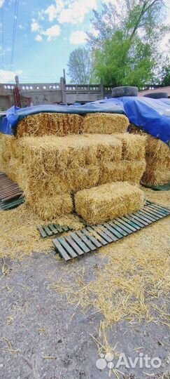 Тюки соломы, сено