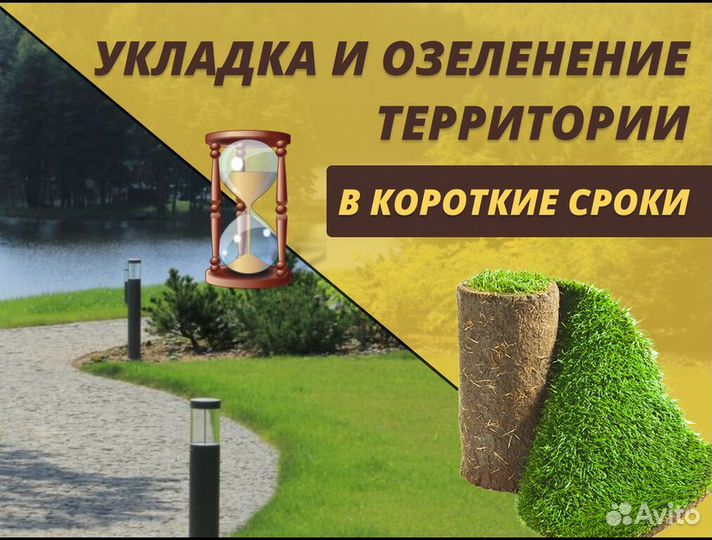 Газон рулонный под ключ