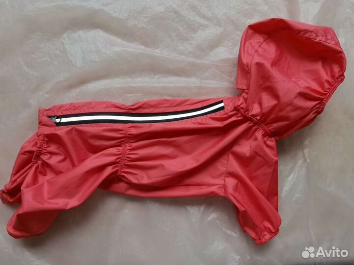 Дождевик для маленькой собаки