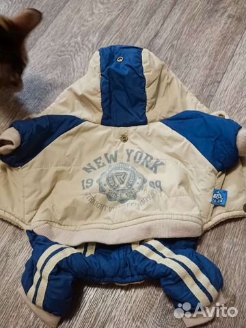 Одежда для собак мелких пород