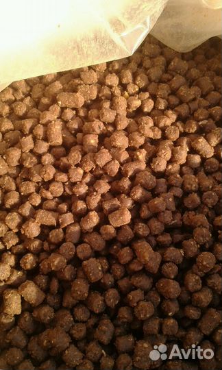 Корм для форели осётра клариевого сома