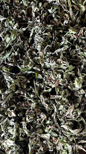 Иван-чай ферментированный