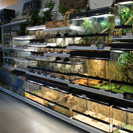 Товары для рептилий