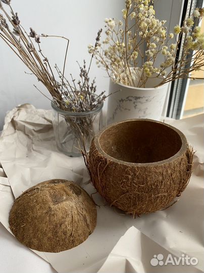 Кокосовая скорлупа (шкатулка)