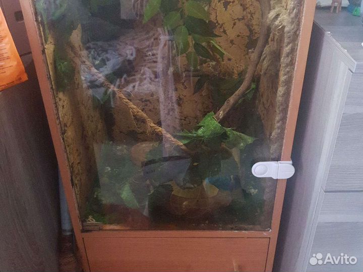 Террариум для рептилий