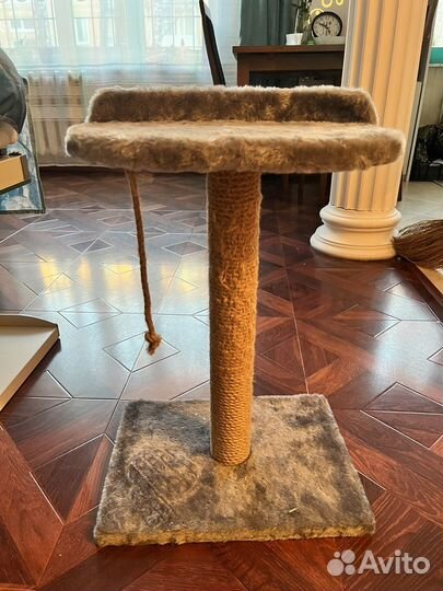 Когтеточка для кошек