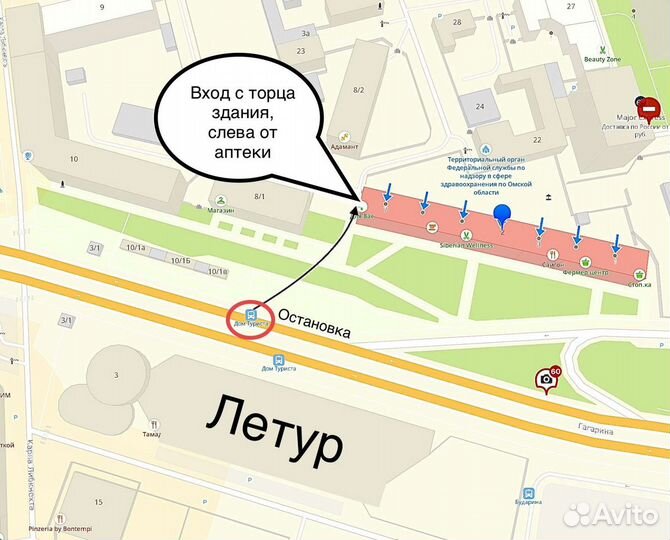 Asus / Celeron N3350 / 4GB / SSD 120GB