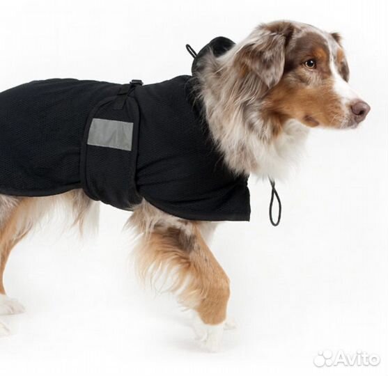 Попона Dog Mash Back on Track