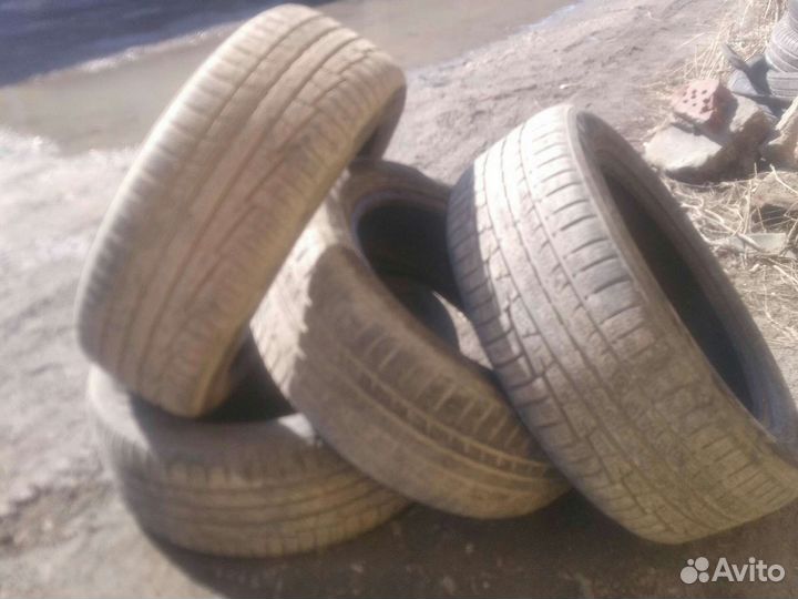 Nokian Tyres WR A3 205/55 R16 51H