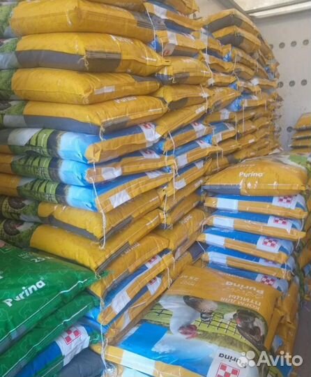 Purina Комбикорм и бмвк Пурина
