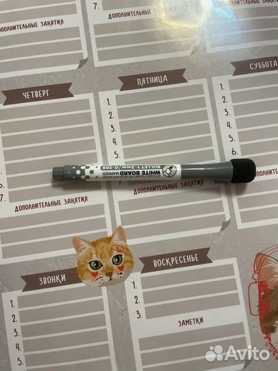 Расписание уроков