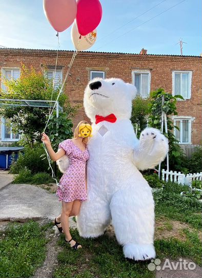 Поздравление от мишки. Большой медведь