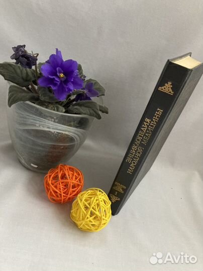 Книга энциклопедия народной медицины 1 том