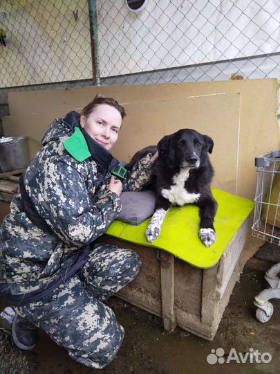 Сема грустит в приюте