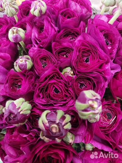 Доставка цветов и букетов