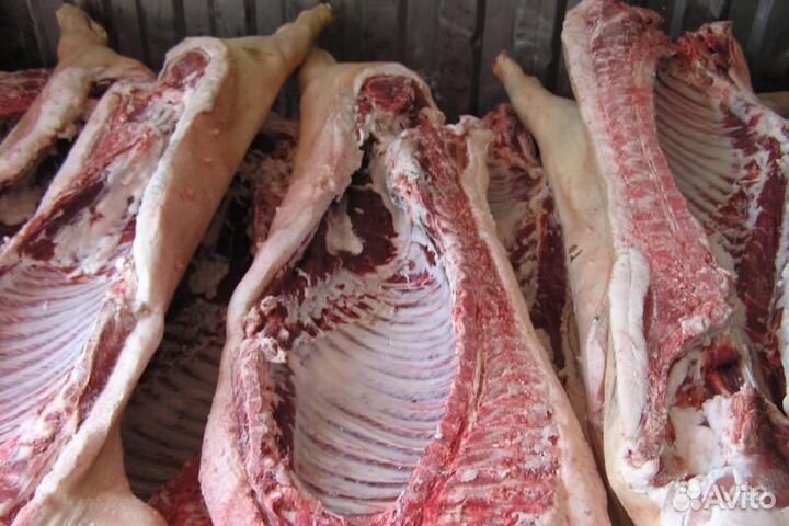 Мясо свинина домашняя