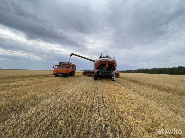 Грузоперевозки Камаз
