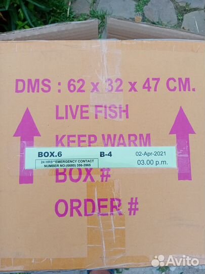 Пенопластовая коробка-термос