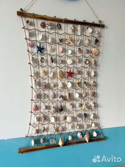 Морские ракушки