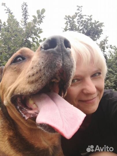 Репетитор по биологии егэ