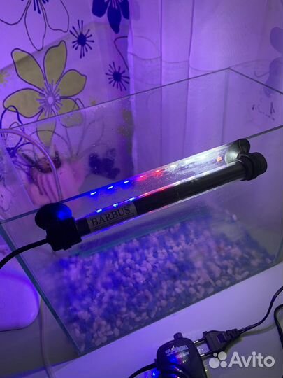 Аквариум и оборудование для аквариума