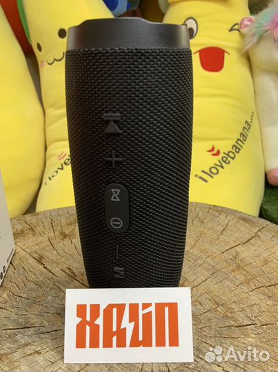 Музыкалтная колонка xterme