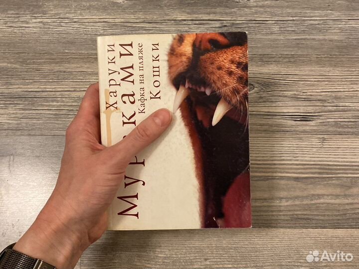 Кафка на пляже, Кошки - Харуки Мураками