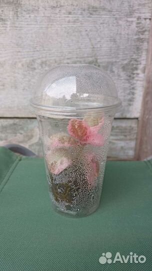 Эписция акварельная