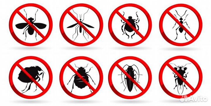 Дезинсекция