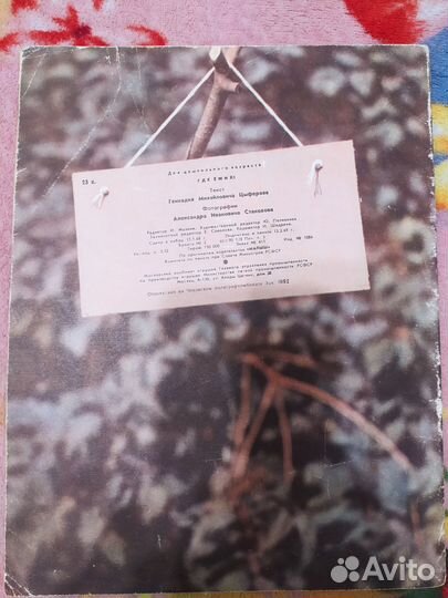 Книжка Где Ежик