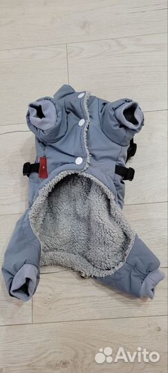 Комбинезон для маленькой собаки мальчик