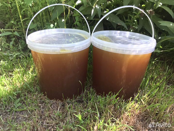 Мед Залесовский натуральный, разнотравье