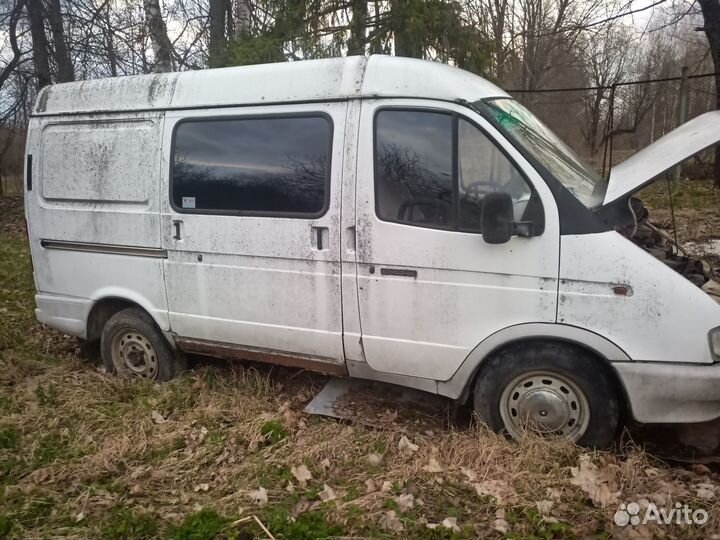 Газель соболь