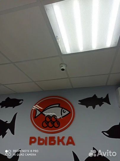 Интернет оборудование для дачи / офиса / кафе