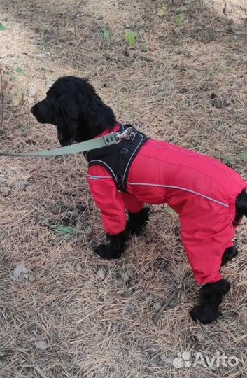 Комбинезон (дождевик) для собаки