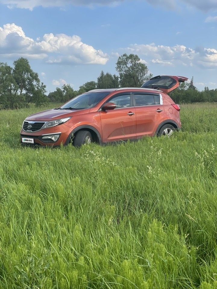 Kia Sportage: фото владельца