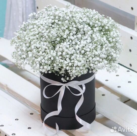 Букет из Гипсофилы в черной Шляпной коробке