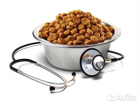 Корм для собак Farmina после заболеваний (Фармина)