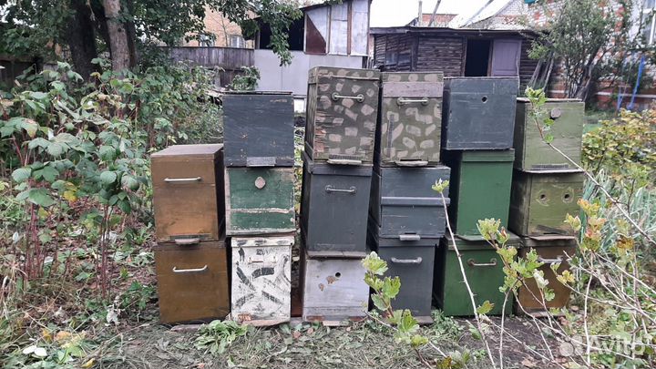 Ловушка для пчёл