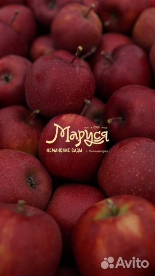Яблоки местные