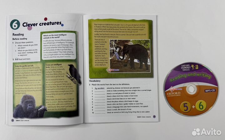 Oxford primary skills Reading and writing 5