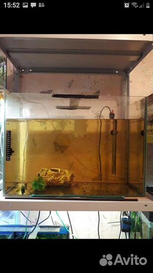 Товары для животных