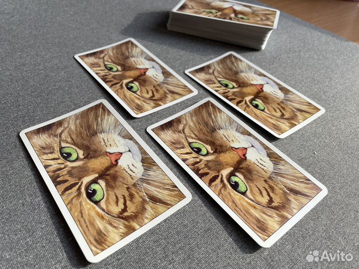 Уезжаю 13.06-10.07 Cat's eyes tarot, Италия