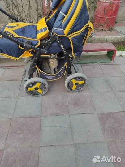 Коляска 3 в 1