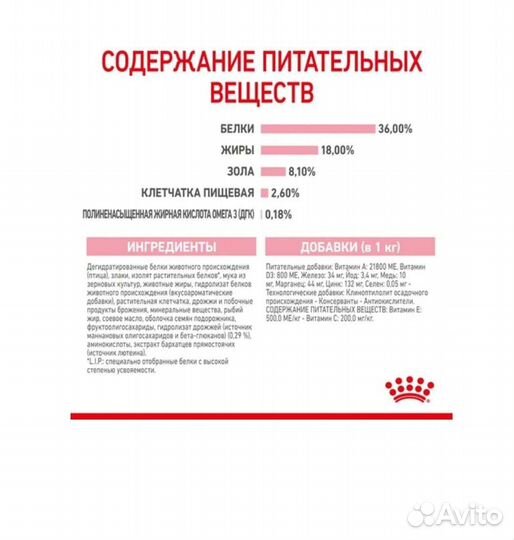 Корм для котят породы Мейн кун