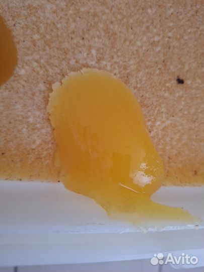 Продаю мед подсолнечный, присутствует кориандр