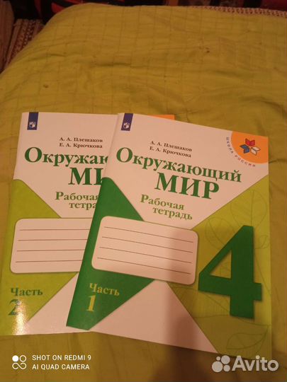 Рабочая тетрадь Окружающий мир 4 класс Плешаков